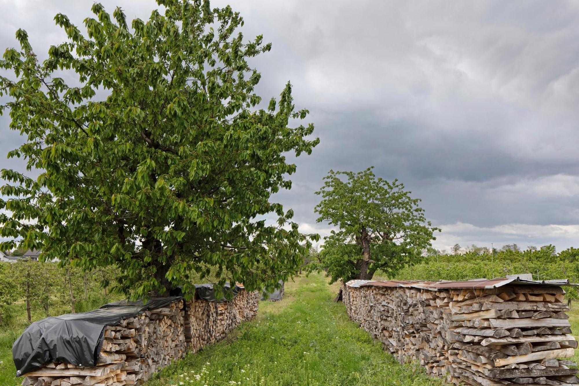 Ferienhof Schloessle Sasbach am Kaiserstuhl Buitenkant foto