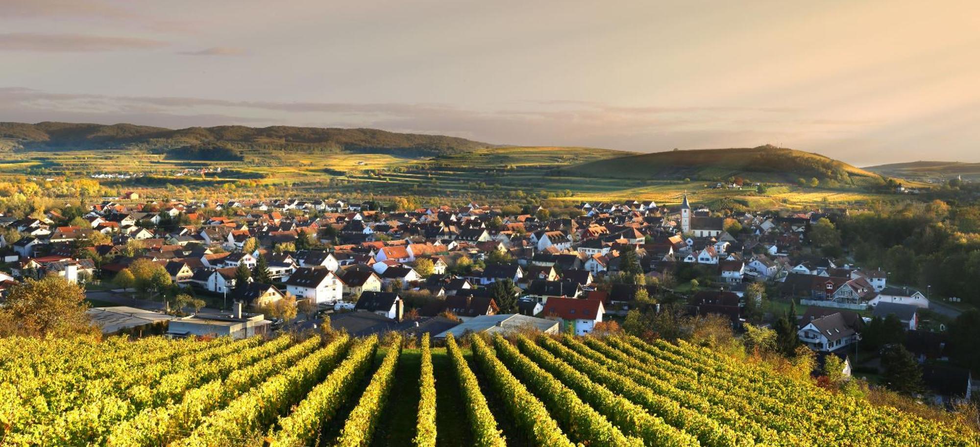 Ferienhof Schloessle Sasbach am Kaiserstuhl Buitenkant foto