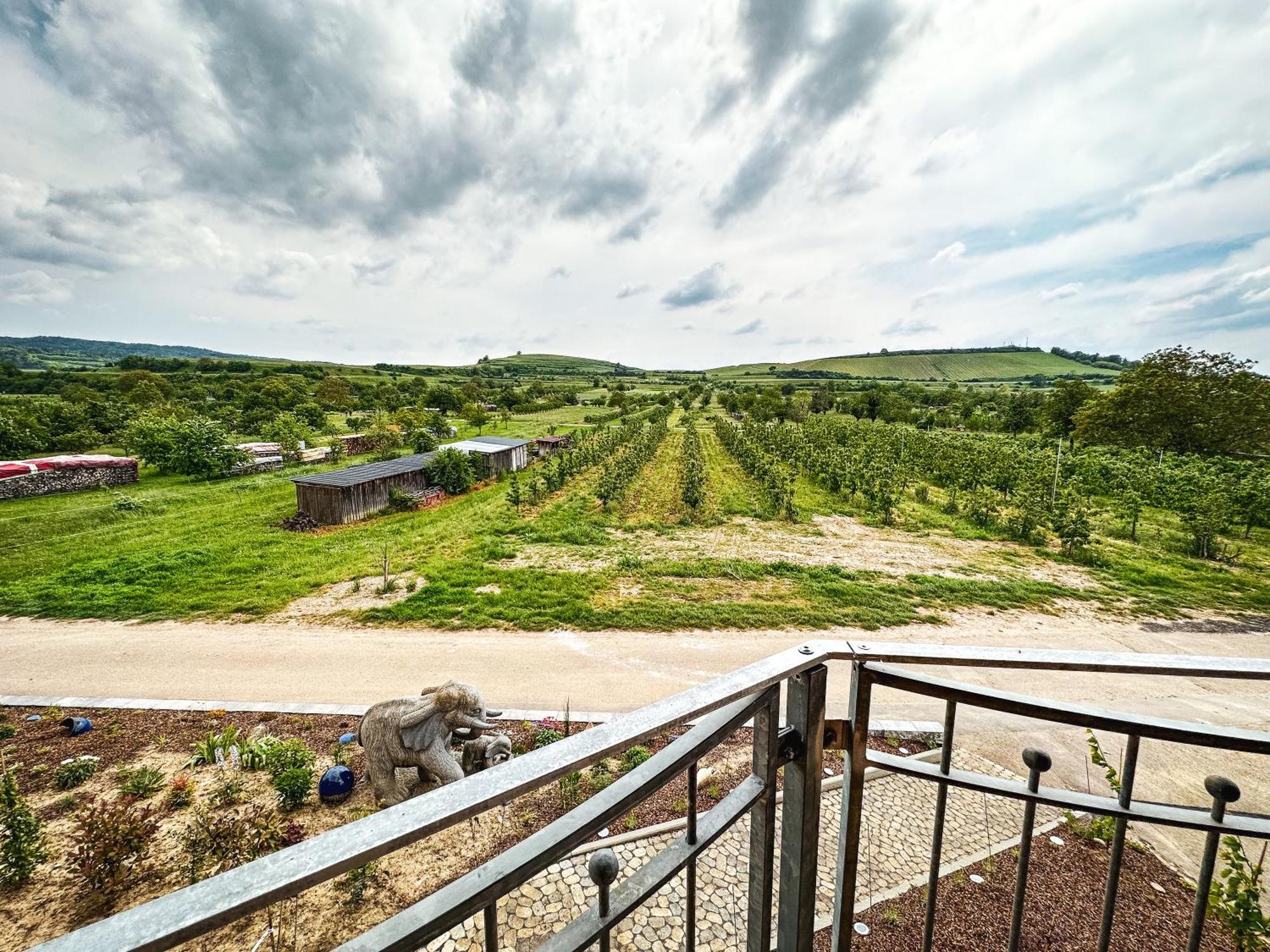 Ferienhof Schloessle Sasbach am Kaiserstuhl Buitenkant foto